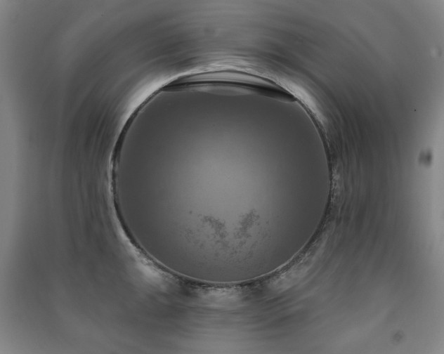 X0000091461047200708161518