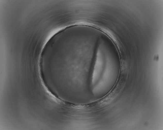 X0000091461048200708161518