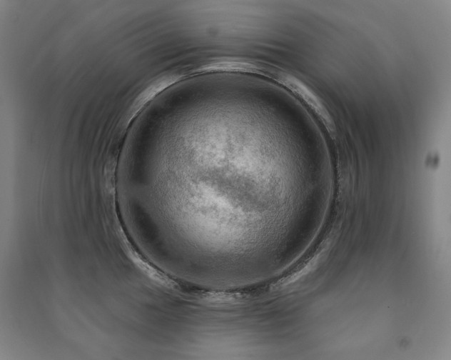 X0000091461049200708161518