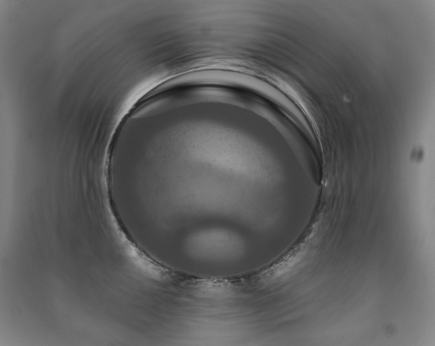 X0000091461050200708161518