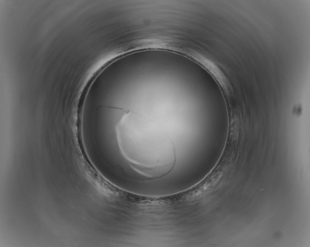 X0000091461051200708161518