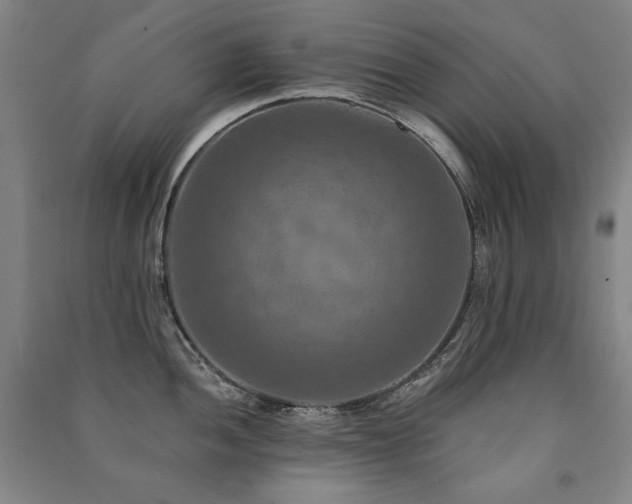 X0000091461052200708161518