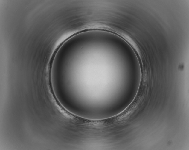 X0000091461053200708161519