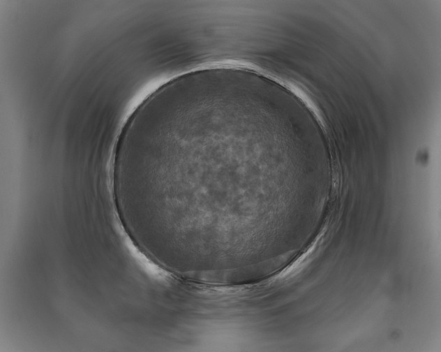 X0000091461054200708161519