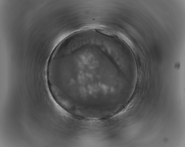 X0000091461055200708161519