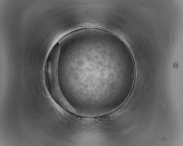X0000091461056200708161519