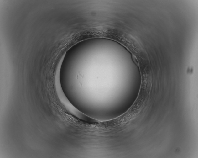 X0000091461057200708161518