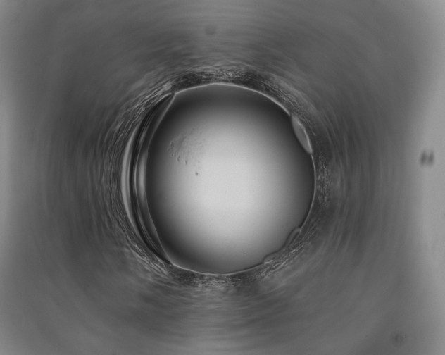 X0000091461058200708161518