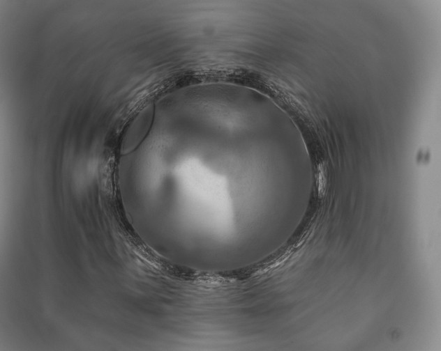 X0000091461059200708161518