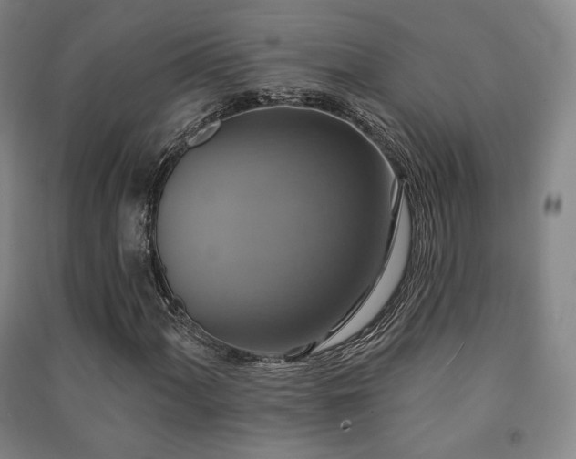X0000091461060200708161518