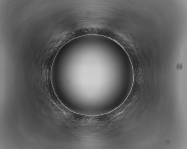 X0000091461061200708161518