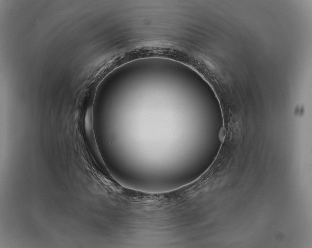 X0000091461062200708161518