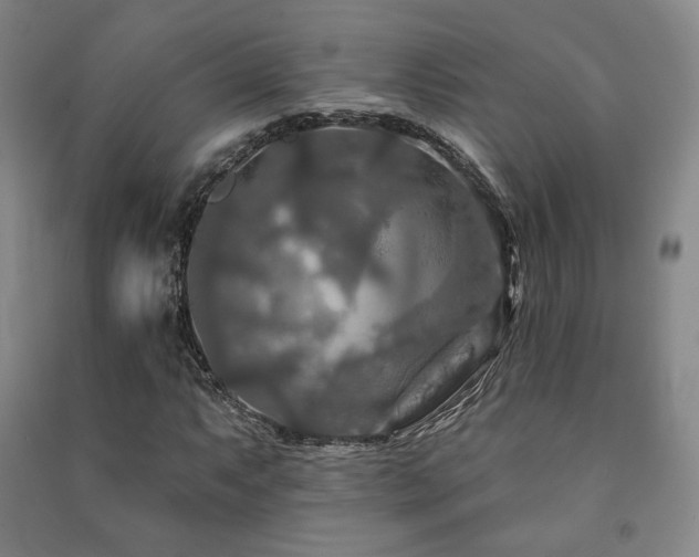 X0000091461063200708161518