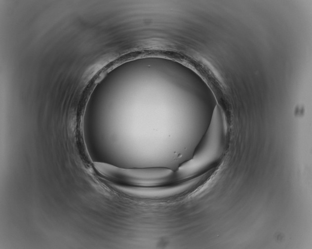 X0000091461065200708161518