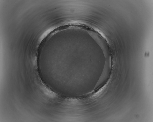 X0000091461066200708161518