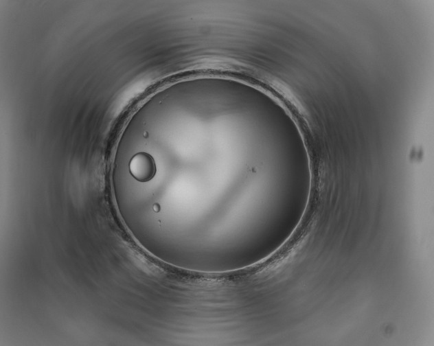 X0000091461067200708161518