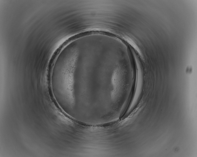 X0000091461068200708161518
