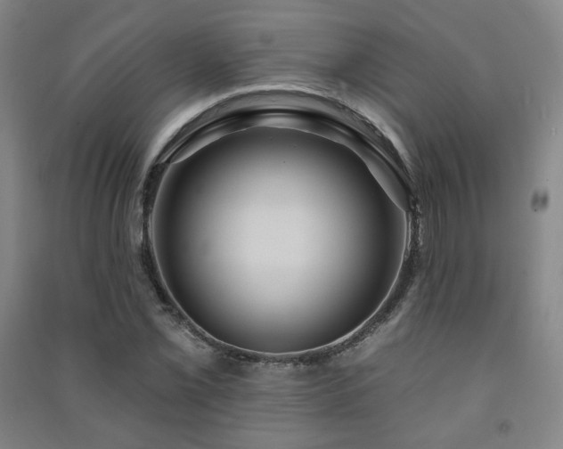 X0000091461069200708161518