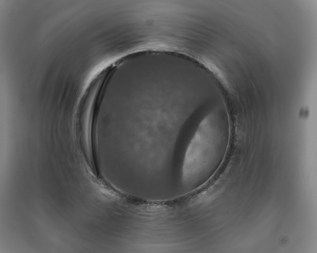 X0000091461070200708161518