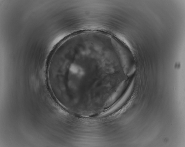 X0000091461071200708161518