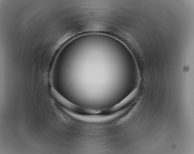 X0000091461073200708161518