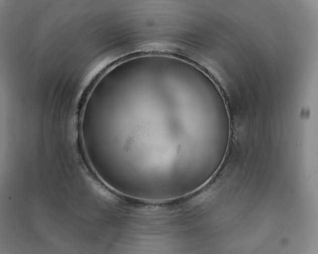 X0000091461075200708161518
