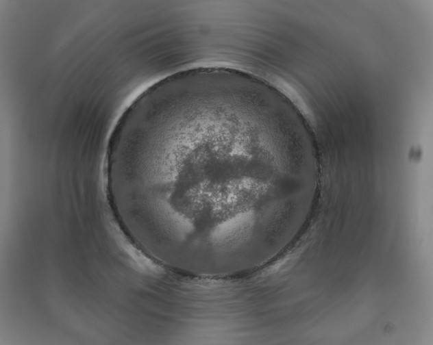 X0000091461076200708161518