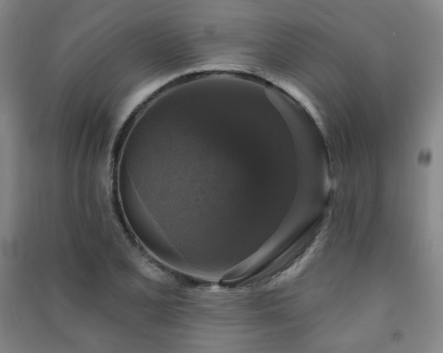 X0000091461077200708161518