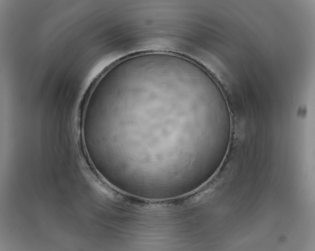 X0000091461078200708161518