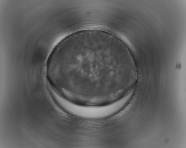 X0000091461079200708161518
