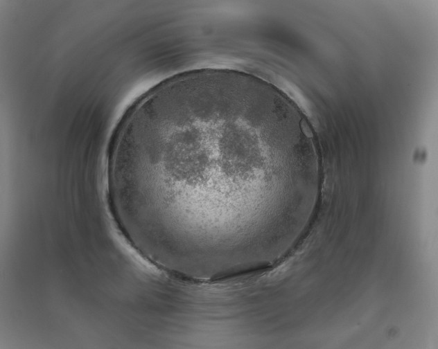 X0000091461080200708161518
