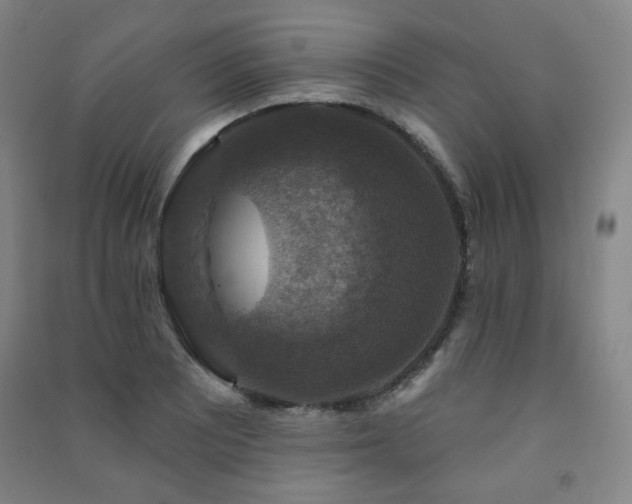 X0000091461081200708161518