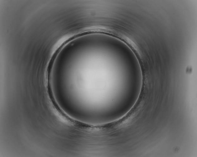 X0000091461082200708161518