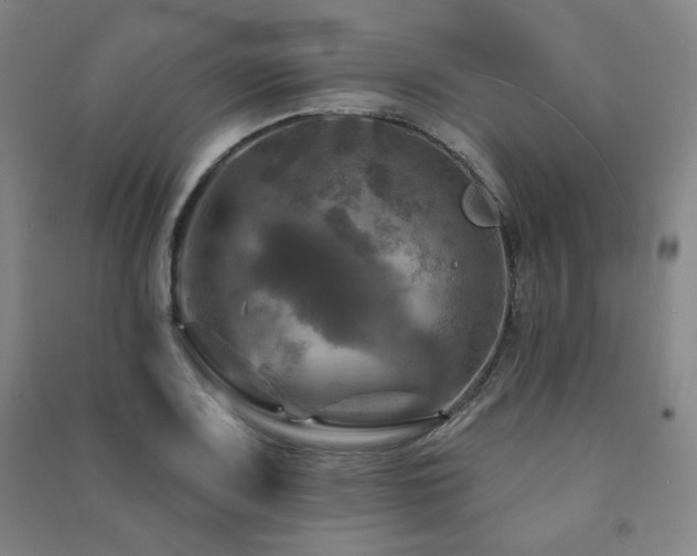 X0000091461083200708161518