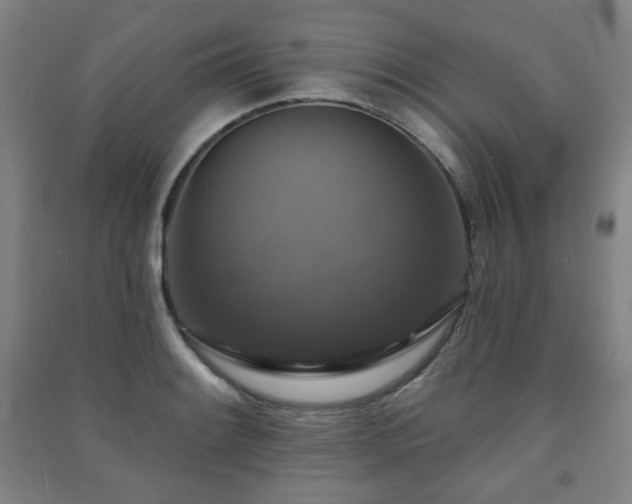X0000091461084200708161518