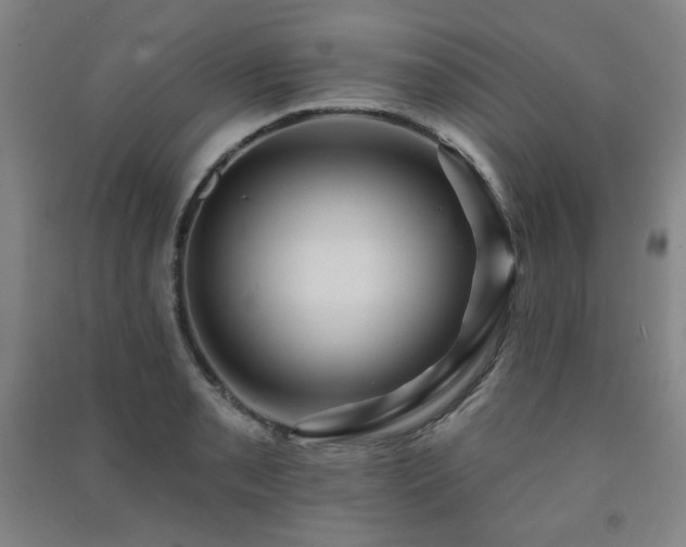 X0000091461085200708161518