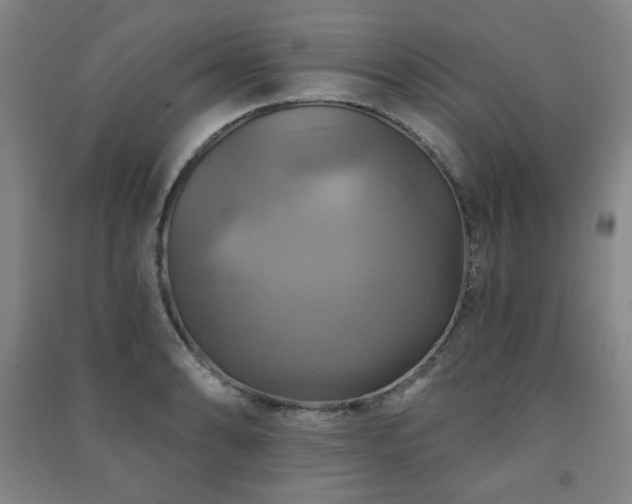 X0000091461086200708161518