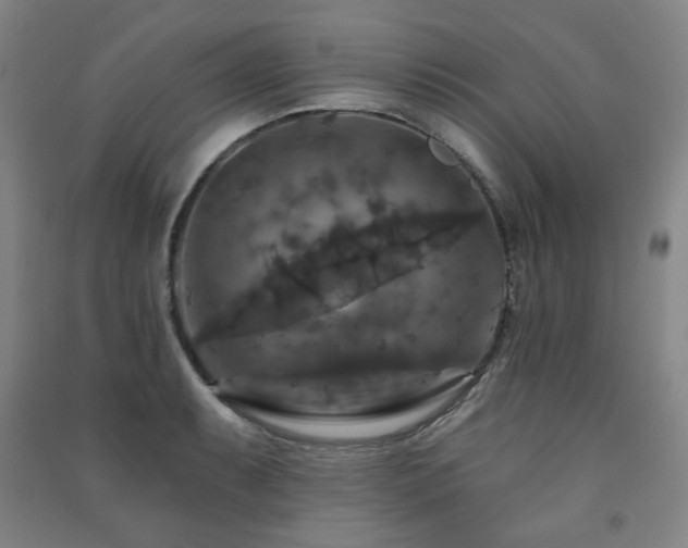 X0000091461087200708161518