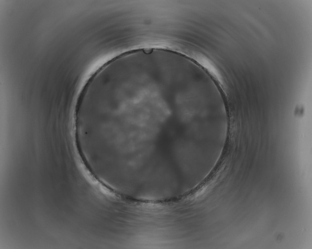 X0000091461088200708161518