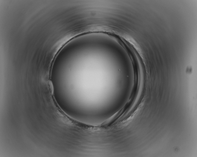 X0000091461089200708161518