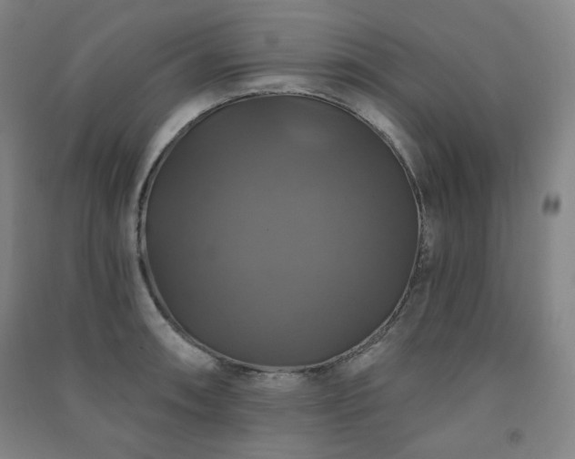 X0000091461090200708161518