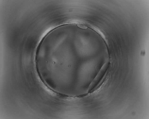 X0000091461091200708161518