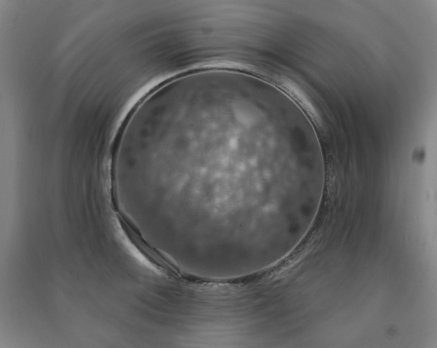 X0000091461092200708161518