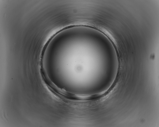 X0000091461093200708161518
