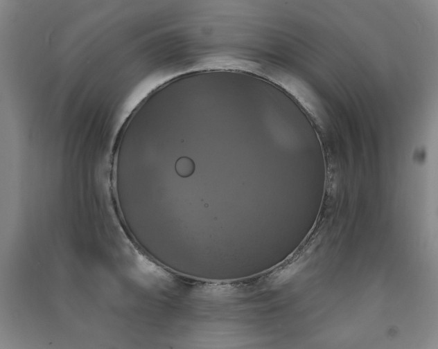 X0000091461094200708161517