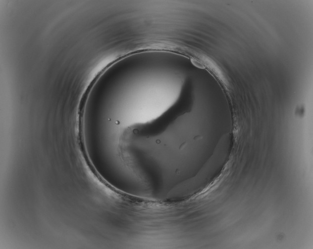 X0000091461095200708161517