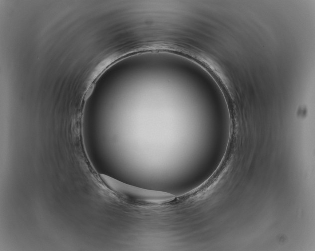 X0000091461097200708161517