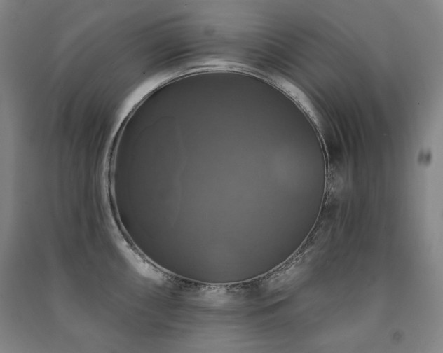 X0000091461098200708161517
