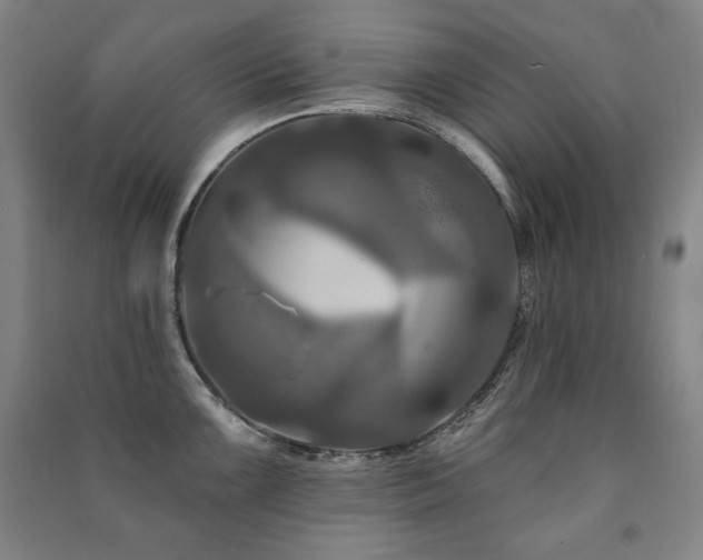 X0000091461099200708161517