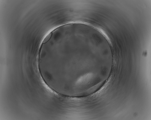 X0000091461100200708161517